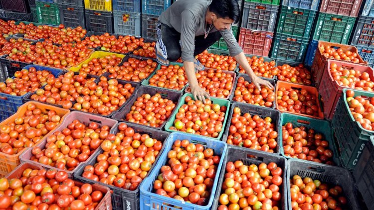 NAFED, NCCF to procure tomatoes from 'mandis'