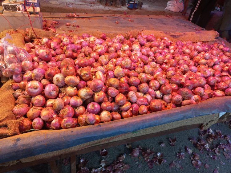 Besides Delhi-NCR, NCCF to sell onion at subsidised rate of Rs 25/kg in other states