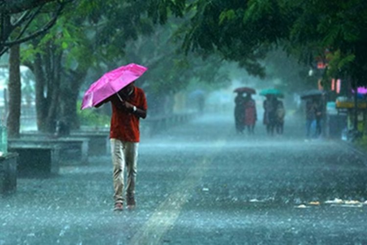 Unprecedented intense rain hits crops
