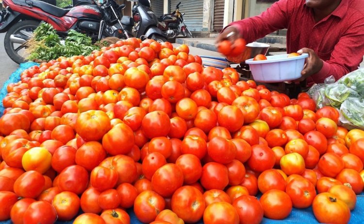 Tomato price hike hits household budgets: RBI article