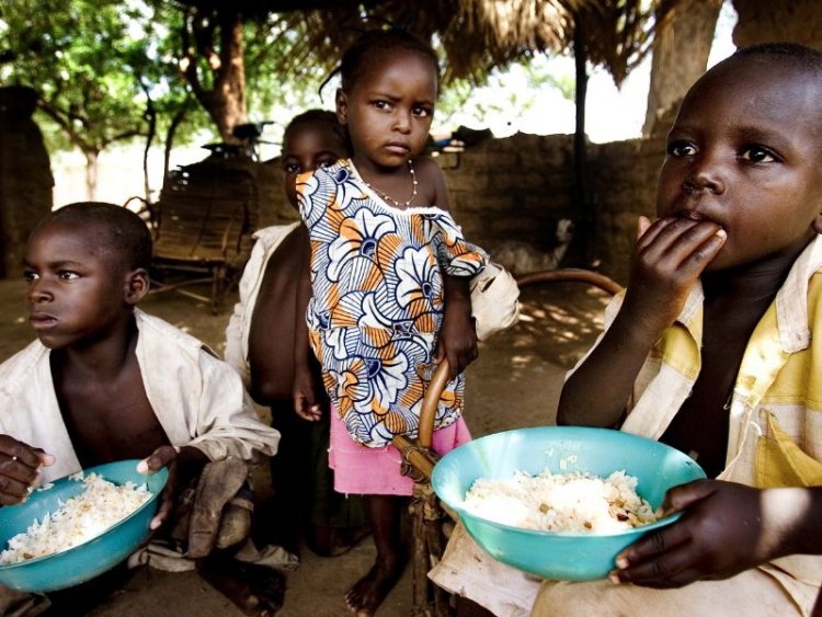 12.2 cr more people pushed into hunger since 2019 due to multiple crises: UN report