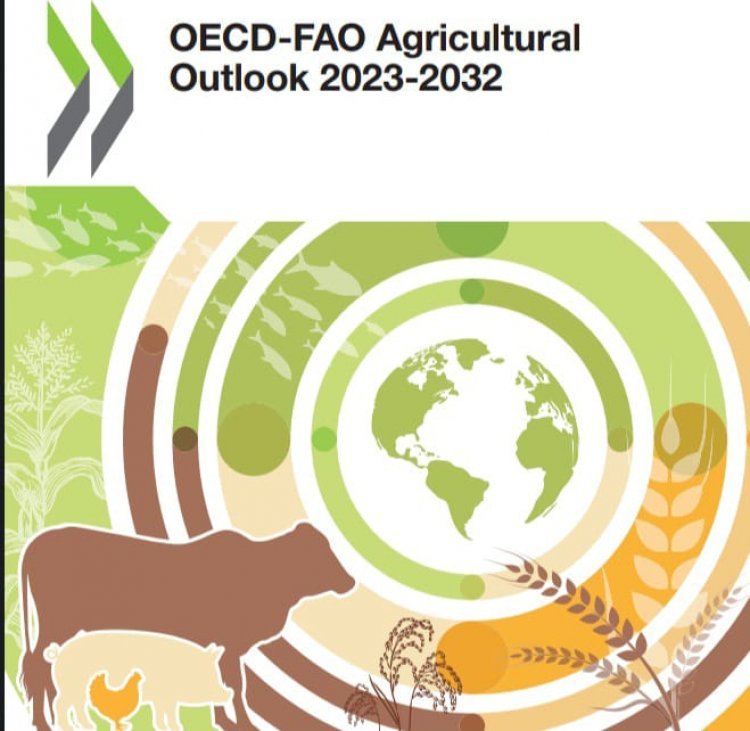 Global farm output to grow by 1.1pc yearly: OECD-FAO Agricultural Outlook 2023-32