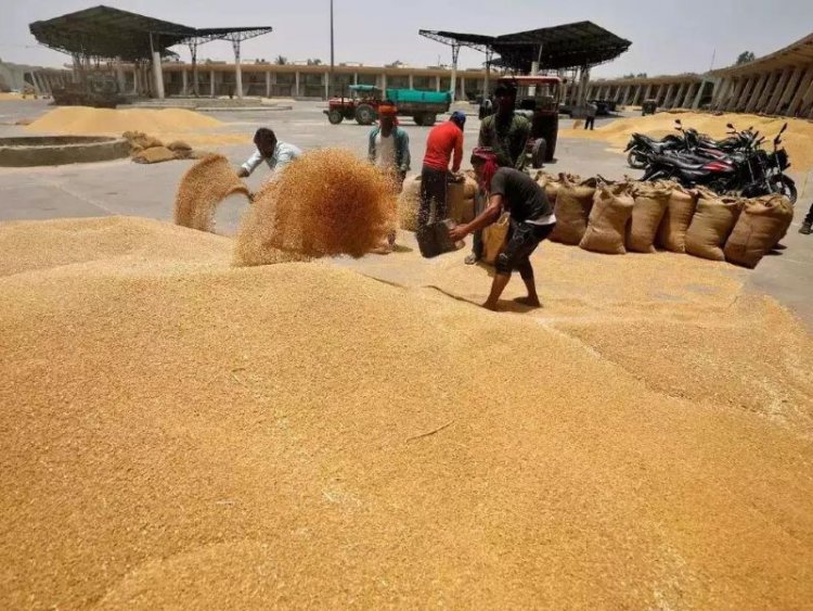 Prices of grains fall in global market, vegetable oil, sugar cost more: FAO
