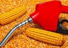 USDA Targets Global Markets Including India to Expand US Ethanol Exports