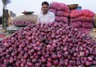 Onion Prices Rise 15% in Maharashtra Mandis in a Week, More Than Double Since June; Exports Also Pick Up