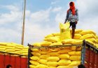 Strait of Hormuz crisis: Fertilizer scarcity will affect next harvests and food supplies, FAO warns