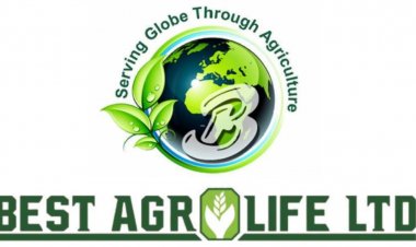 Best Agrolife ltd Q1 net profit grows to Rs 90.5cr, income rose to Rs 616.75cr