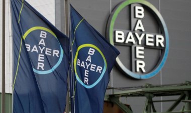 Bayer CropScience Limited earns ₹17,396 million as Revenue from Operations in FY 2023-24 Q1