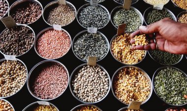 WPI-based inflation increases slightly to -0.52% in Aug vs -1.36% in July