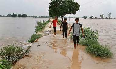 Kharif output may drop as crops face double whammy - floods as well as drought