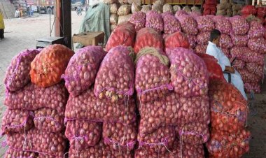 NCCF buys 2,826 tn onion from farmers for buffer stock; to buy more soon
