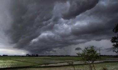 Monsoon expected to revive in Sept: IMD