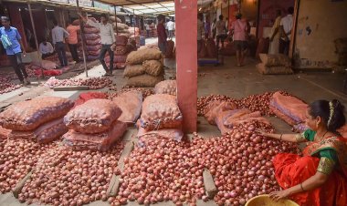 Onion auction resumes for brief period in Nashik, price opens at Rs 16-17 per kg