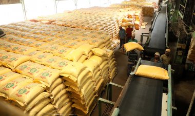 Enough stock of fertilisers for kharif sowing; states must act against diversion of urea: Centre