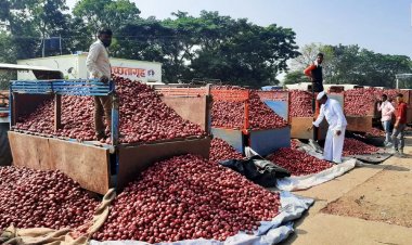 Duty on onion exports leaves pungent taste with onion growers, traders