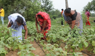 Spowdi collaborates with world’s largest self-employed women’s group SEWA to scale Smart Farming