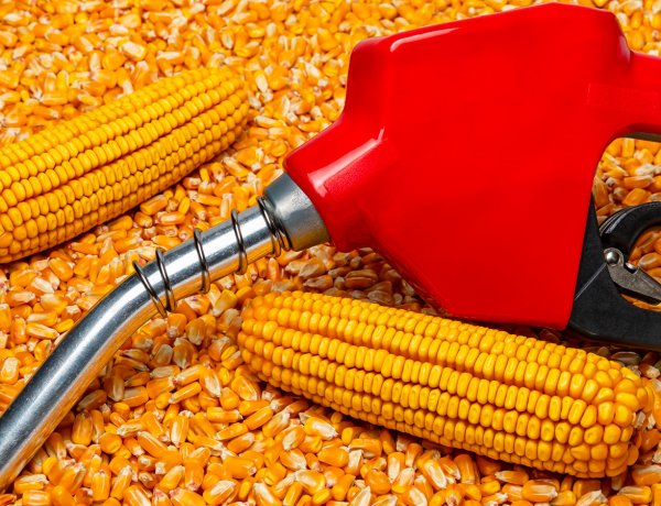 USDA Targets Global Markets Including India to Expand US Ethanol Exports