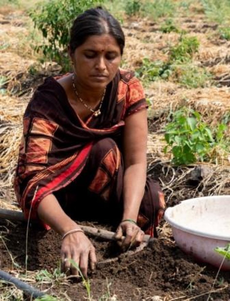 Contending with Climate: Voice of smallholder farmers in the context of climate change