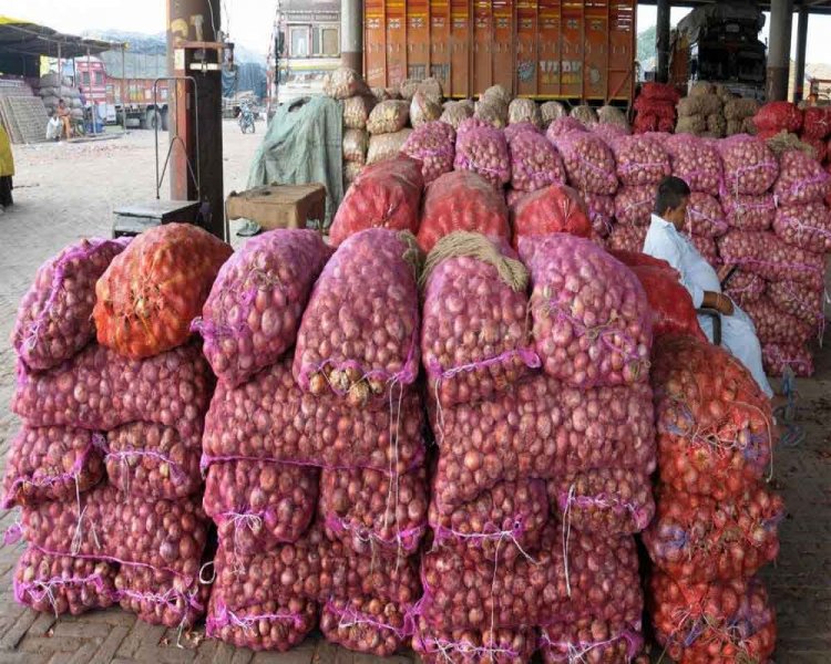 Govt imposes minimum export price of USD 800 per tonne on onion till Dec 31