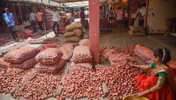 Onion auction resumes for brief period in Nashik, price opens at Rs 16-17 per kg