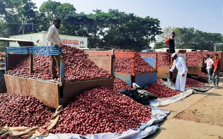 Duty on onion exports leaves pungent taste with onion growers, traders