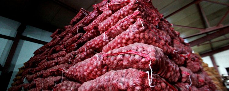 Govt lifts onion export ban, imposes 40 percent export duty, fixed MEP of USD 550 ton