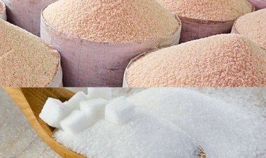 Enough wheat, rice, sugar, edible oils for festival season