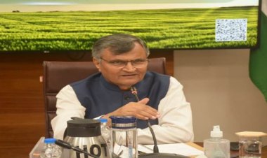 Pvt sector can provide advisory services, tech to support agri development: Ramesh Chand