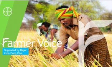 Climate change, pests hit farming; digital technologies, modern crop security hold promise: Survey