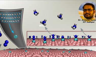 IIT-Jodhpur designs catalysts for synthesis of alternative fuel Green Ammonia