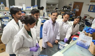 IIT-Mandi researchers propose Protein-based vax against pork tapeworm