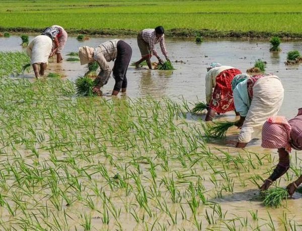 Rainfall Deficit Hits 99% in Some States During July's Second Week; Widespread Showers Likely Over Next 5 Days