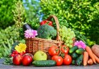 Horticulture output likely to surpass foodgrain production in 2025-26, reaches record 377.8 million tonnes