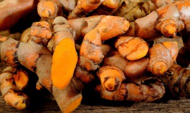 Govt sets up National Turmeric Board, exports may touch USD 1 bn by 2030