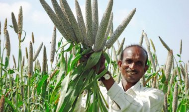 Pioneering progress in pearl millet: Corteva Agriscience - ICRISAT - ICAR join hands