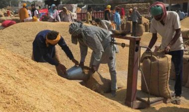 Centre starts kharif paddy procurement, 12.21 lakh tonne purchased so far