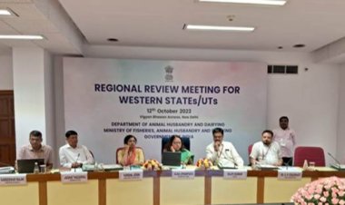 Set up task force to address feed and fodder issues: Centre to states