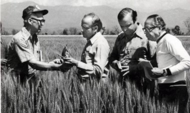 World Food Day: Nation salutes Dr. MS Swaminathan