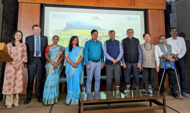 Transition to sustainable agriculture vital for water, food security: UN Agencies