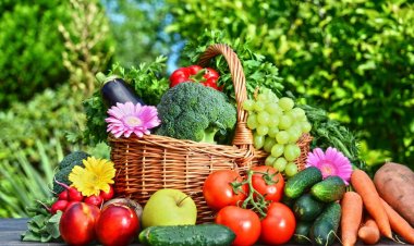 Horticulture production pegged at record 351.92 million tonnes in 2nd advance estimate for 2022-23