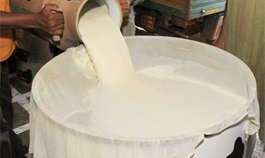 Growth in milk output slows in FY23 due to Lumpy Skin Disease