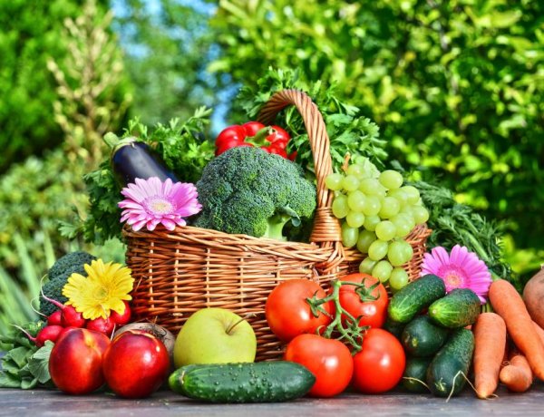 Horticulture output likely to surpass foodgrain production in 2025-26, reaches record 377.8 million tonnes