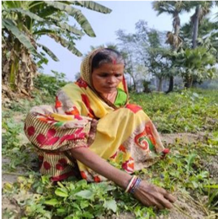 International Day of Rural Women: Success stories of Pramila Devi, Rani Devi highly inspiring