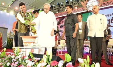 Odisha investing over Rs 2,500cr for providing income, livelihood support to millet farmers
