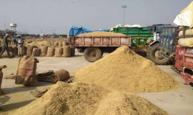 Basmati paddy price crossed Rs 6,000 per quintal in Haryana mandis, farmers are reaping benefit of higher price