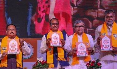 MP polls: BJP promises higher MSP for wheat, paddy at Rs 2,700 and Rs 3,100 a qtl respectively