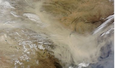 Samarkand Event to focus on sand and dust storms posing threat to food security