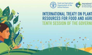 More seed varieties may be added to global 'food basket'