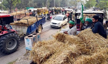 Conflict over stubble increasing in Punjab: Farmers being made villains, says SC