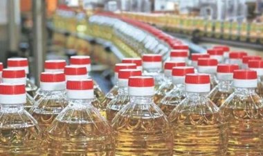 India’s Edible Oil Imports Drop 16% in July Amid Higher Duties and Lower Palm Oil Shipments